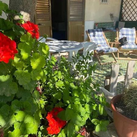 Tatil Evi Casetta La Pomelia